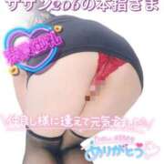 ヒメ日記 2026/06/03 23:05 投稿 せな 宮崎ちゃんこ都城店