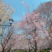 ヒメ日記 2025/04/02 17:14 投稿 あゆみ 濃厚即19妻