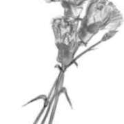 ヒメ日記 2025/06/03 14:46 投稿 みな ごほうびSPA千葉店