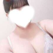 ヒメ日記 2025/04/13 01:13 投稿 くるみ cocoro