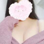 ヒメ日記 2025/04/16 13:13 投稿 くるみ cocoro