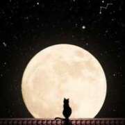 ヒメ日記 2025/05/26 03:33 投稿 くるみ cocoro