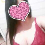 ヒメ日記 2025/11/15 01:53 投稿 くるみ cocoro