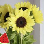 ヒメ日記 2025/08/18 11:19 投稿 せな 熟女家 東大阪店（布施・長田）