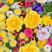 ヒメ日記 2025/09/02 11:35 投稿 せな 熟女家 東大阪店（布施・長田）