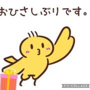 ヒメ日記 2026/06/17 13:15 投稿 せな 熟女家 東大阪店（布施・長田）