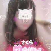 ヒメ日記 2025/03/29 01:56 投稿 さくら 奥様鉄道69 仙台店