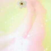 ヒメ日記 2025/04/03 17:26 投稿 さくら 奥様鉄道69 仙台店