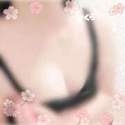 ヒメ日記 2025/04/05 17:26 投稿 さくら 奥様鉄道69 仙台店