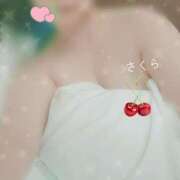 ヒメ日記 2025/04/12 17:26 投稿 さくら 奥様鉄道69 仙台店