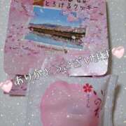 ヒメ日記 2025/04/20 19:46 投稿 さくら 奥様鉄道69 仙台店