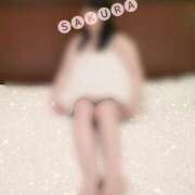 ヒメ日記 2025/04/27 13:06 投稿 さくら 奥様鉄道69 仙台店