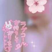 ヒメ日記 2025/11/28 17:19 投稿 さくら 奥様鉄道69 仙台店