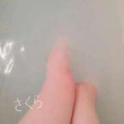 ヒメ日記 2026/02/01 18:36 投稿 さくら 奥様鉄道69 仙台店