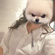 ヒメ日記 2024/12/14 19:08 投稿 ひかり non-non 神田(ノンノン神田)