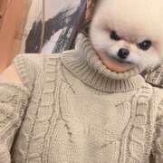 ヒメ日記 2025/01/05 16:07 投稿 ひかり non-non 神田(ノンノン神田)