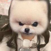 ヒメ日記 2025/01/06 21:40 投稿 ひかり non-non 神田(ノンノン神田)