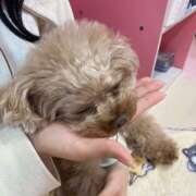 ヒメ日記 2025/03/15 18:45 投稿 ひかり non-non 神田(ノンノン神田)