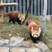 ヒメ日記 2025/11/21 18:02 投稿 ひかり non-non 神田(ノンノン神田)