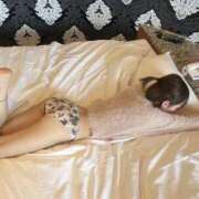 ヒメ日記 2025/06/04 21:06 投稿 かぐら The White