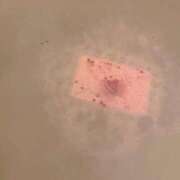 ヒメ日記 2025/02/14 20:04 投稿 ひすい Number Five 品川（シンデレラグループ）