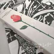 ヒメ日記 2026/02/22 17:23 投稿 ひすい Number Five 品川（シンデレラグループ）