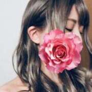 ヒメ日記 2025/12/11 14:07 投稿 一宮 あん CELEB SPA PREMIUM