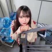 ヒメ日記 2025/04/03 19:22 投稿 まこと E+アイドルスクール品川店