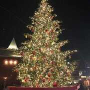 ヒメ日記 2024/12/20 21:17 投稿 えりこ 性腺熟女100％（デリヘル市場）