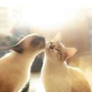 ヒメ日記 2025/05/22 18:43 投稿 えりこ 性腺熟女100％（デリヘル市場）