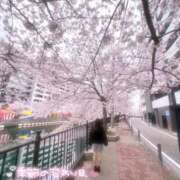 ヒメ日記 2025/04/08 19:26 投稿 ひなの with SPA (ウィズスパ)