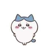 ヒメ日記 2024/12/26 10:56 投稿 マルル バニーコレクション千葉栄町店