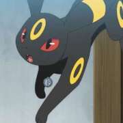 ヒメ日記 2025/03/19 00:05 投稿 マルル バニーコレクション千葉栄町店