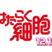 ヒメ日記 2024/12/13 12:15 投稿 なの 川崎・東横人妻城