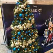 ヒメ日記 2024/12/28 22:16 投稿 なの 川崎・東横人妻城