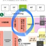 ヒメ日記 2025/02/05 15:11 投稿 なの 川崎・東横人妻城