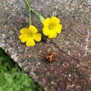 ヒメ日記 2025/05/21 10:27 投稿 なの 川崎・東横人妻城