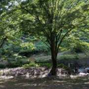 ヒメ日記 2025/06/22 20:55 投稿 あや 夢の国デリランド