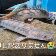 ヒメ日記 2025/11/02 19:35 投稿 あや 夢の国デリランド