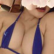 ヒメ日記 2025/04/01 09:21 投稿 めい 天空のマット