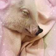 らな らな♡ 池袋あられ