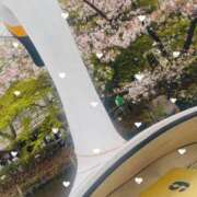 ヒメ日記 2026/04/06 13:10 投稿 らな 池袋あられ