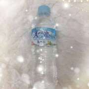 ヒメ日記 2025/06/05 00:31 投稿 菊池ほたる マダムと紳士