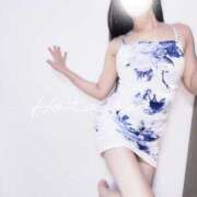 ヒメ日記 2025/07/03 10:41 投稿 菊池ほたる マダムと紳士