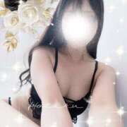 ヒメ日記 2025/07/14 10:21 投稿 菊池ほたる マダムと紳士