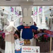 ヒメ日記 2025/07/14 13:07 投稿 菊池ほたる マダムと紳士