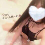 ヒメ日記 2025/09/19 08:51 投稿 菊池ほたる マダムと紳士