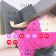 ヒメ日記 2025/09/22 10:11 投稿 菊池ほたる マダムと紳士