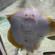 ヒメ日記 2025/10/31 23:46 投稿 菊池ほたる マダムと紳士