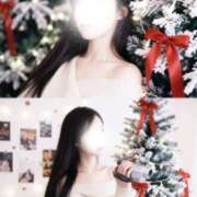 ヒメ日記 2025/12/17 12:11 投稿 菊池ほたる マダムと紳士